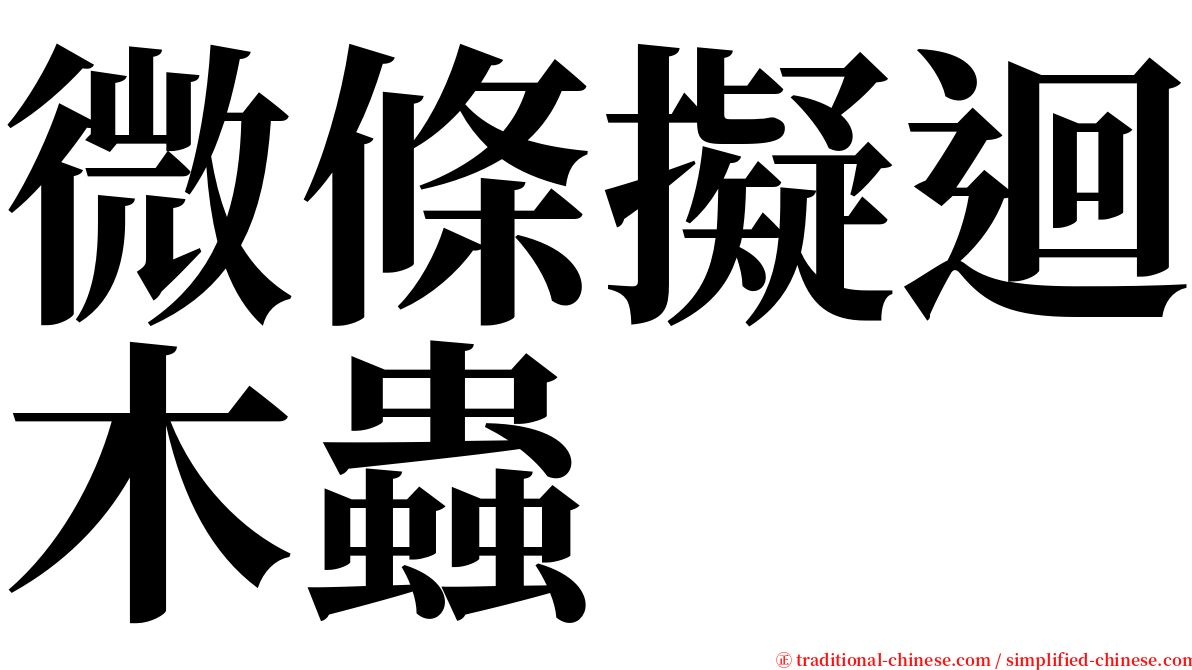 微條擬迴木蟲 serif font