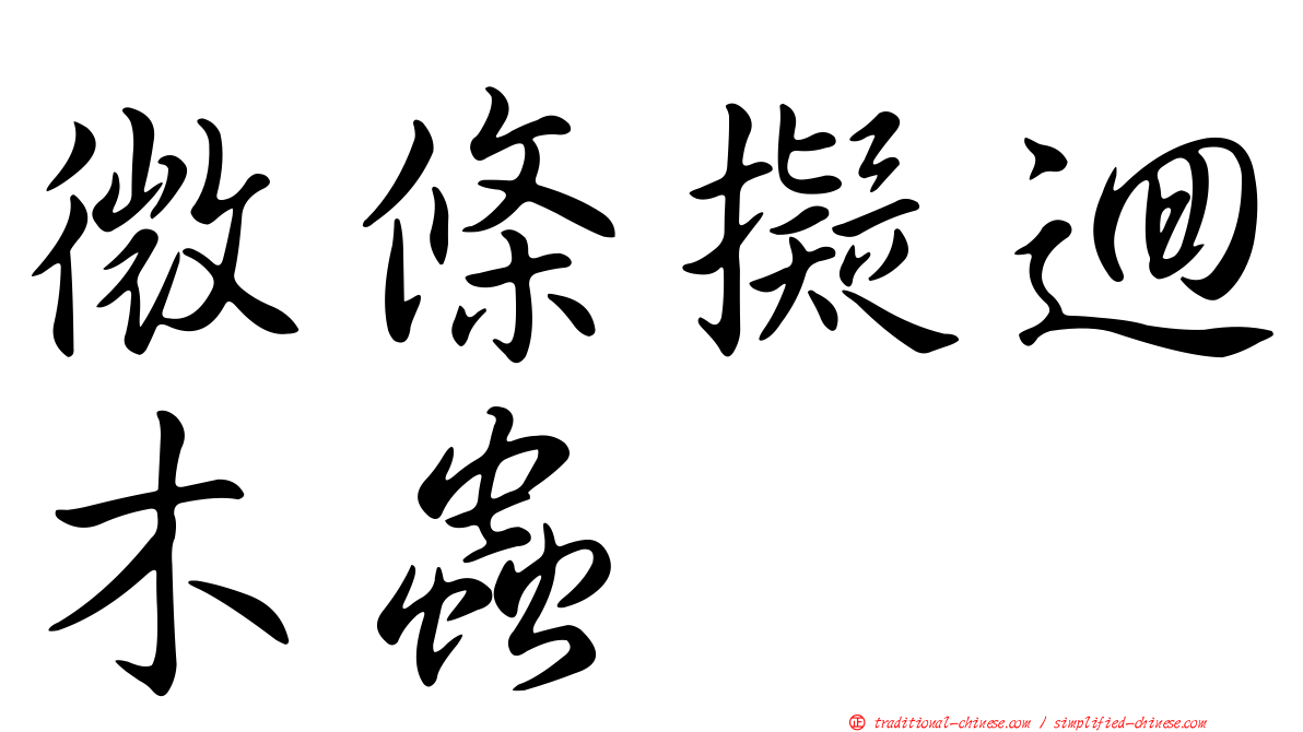 微條擬迴木蟲