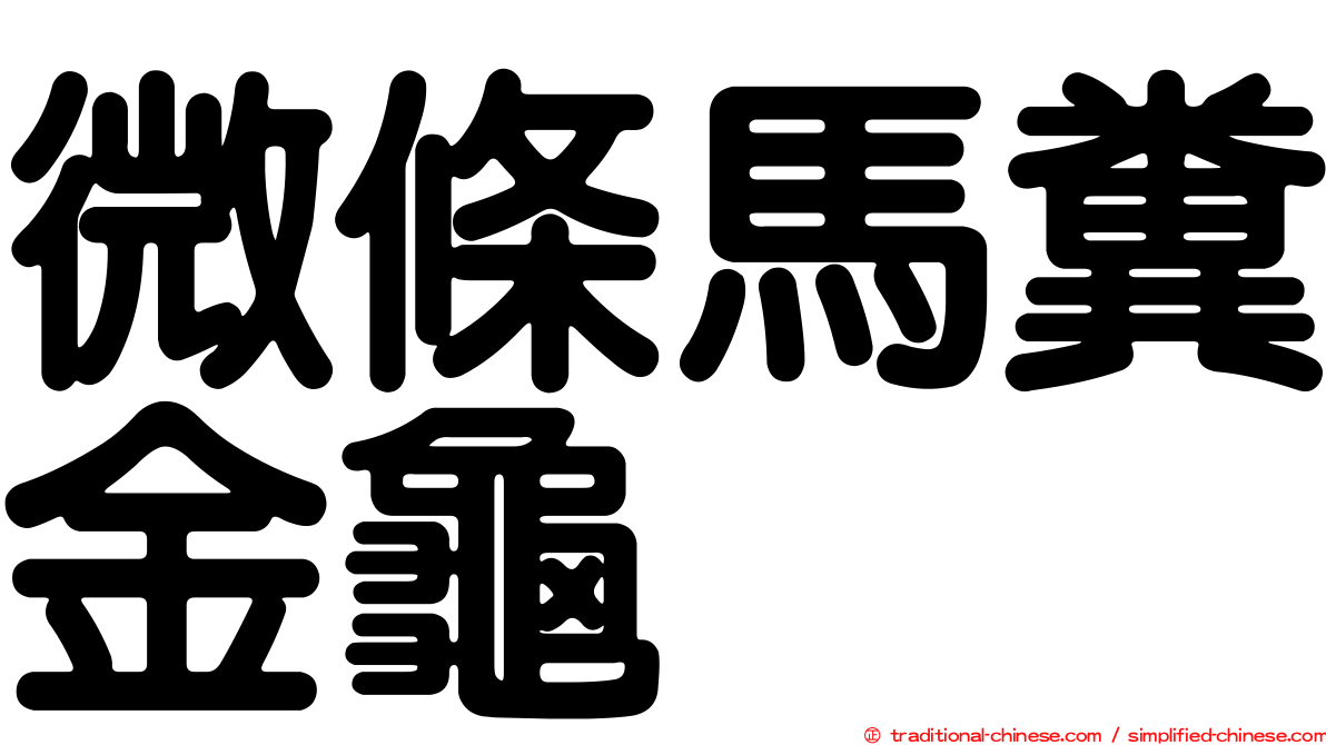微條馬糞金龜