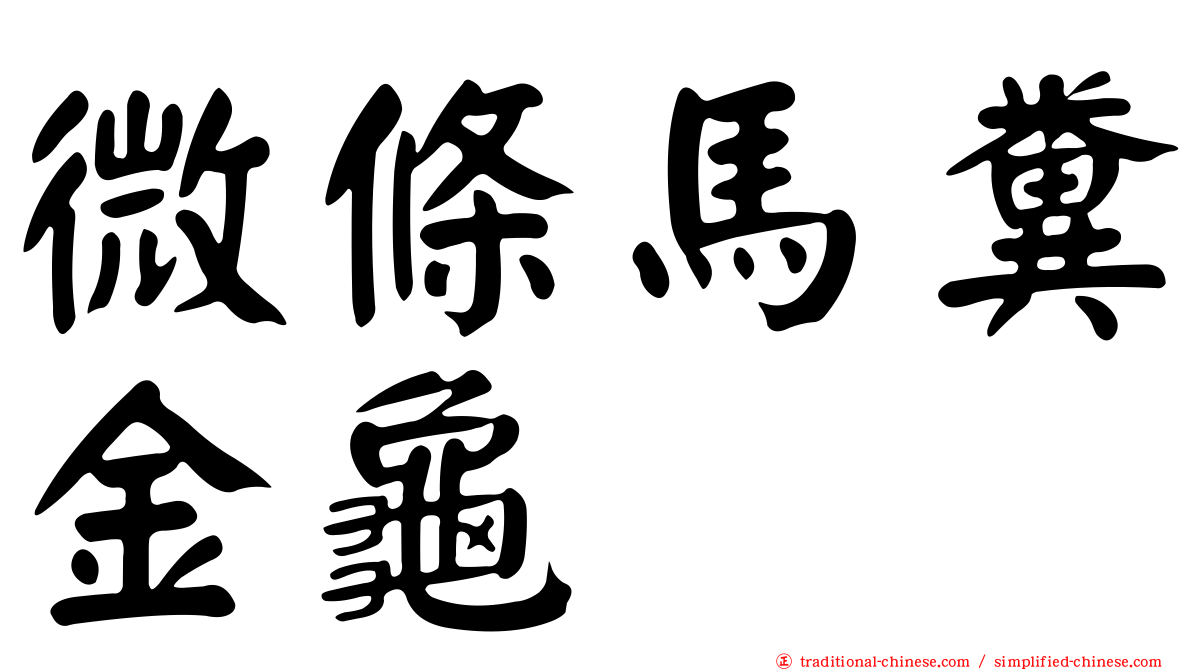 微條馬糞金龜