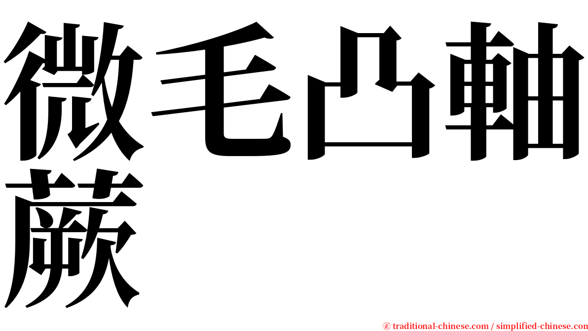 微毛凸軸蕨 serif font