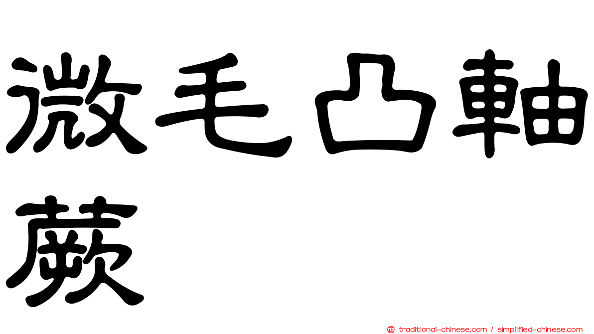 微毛凸軸蕨