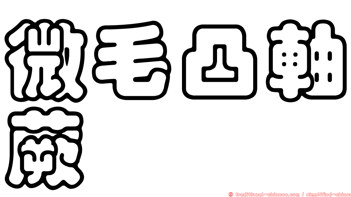 微毛凸軸蕨