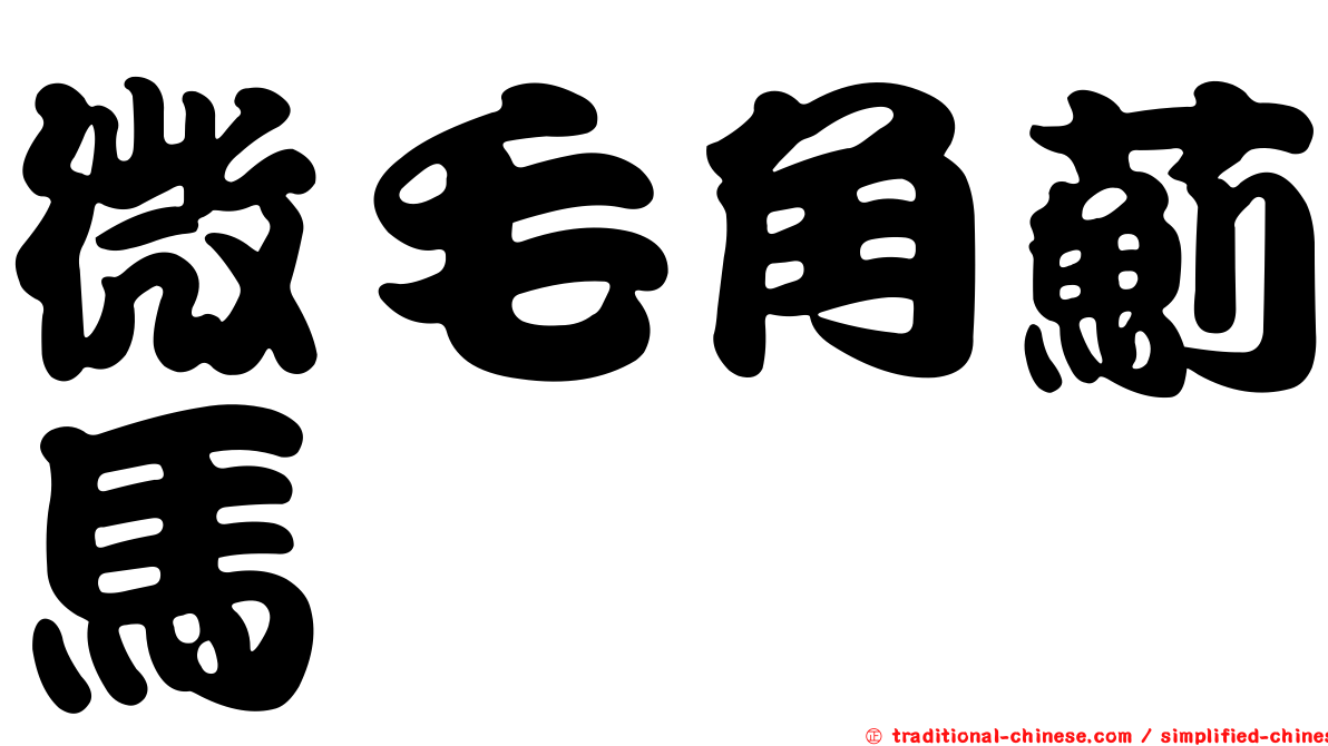 微毛角薊馬