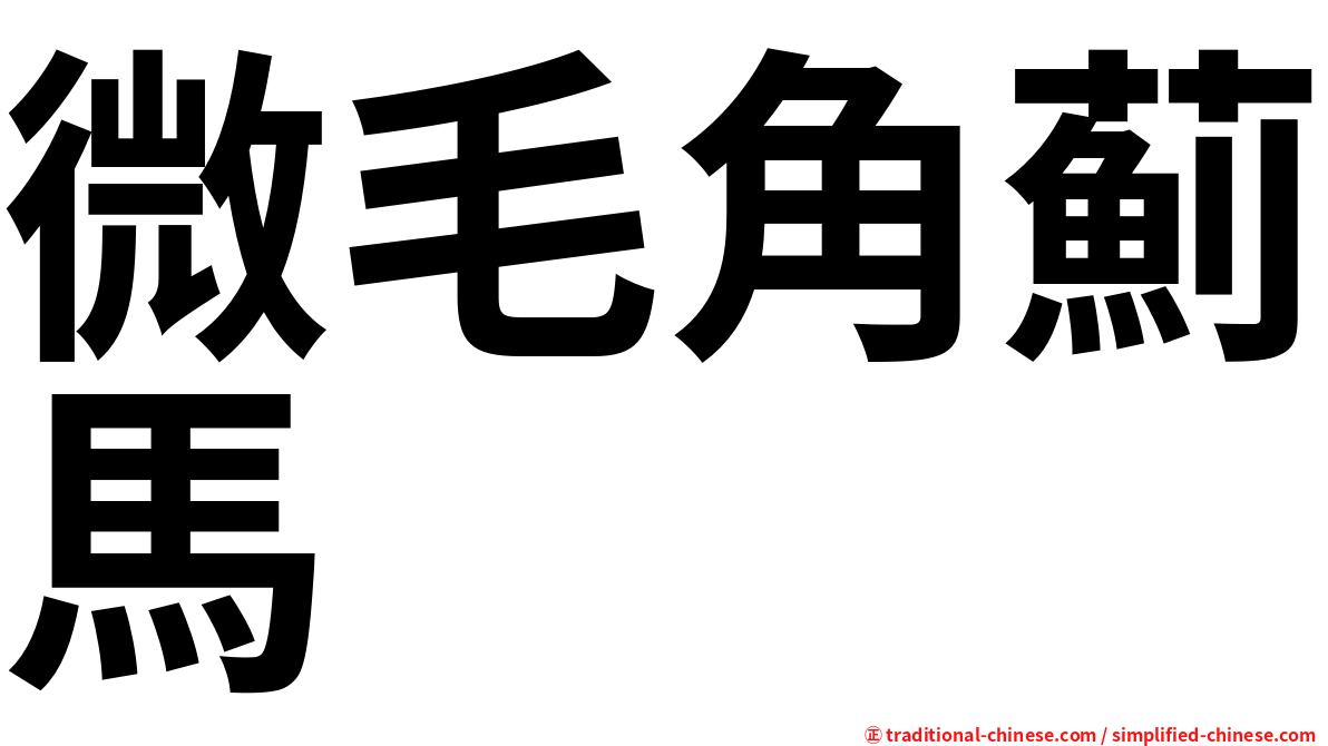 微毛角薊馬