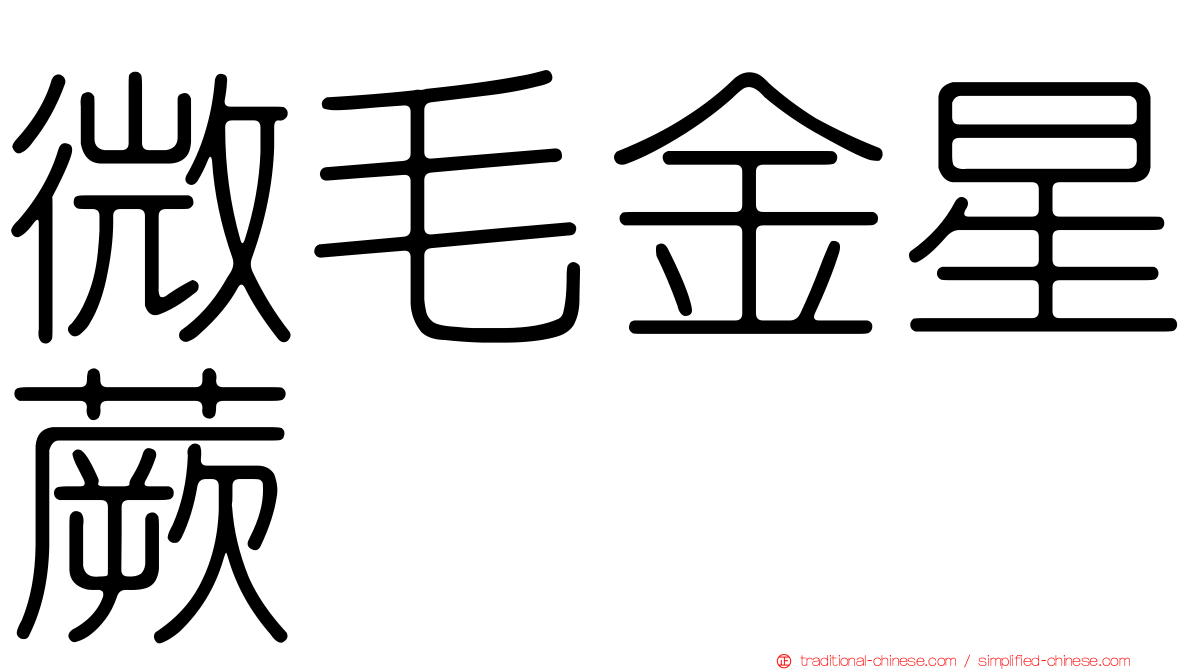 微毛金星蕨