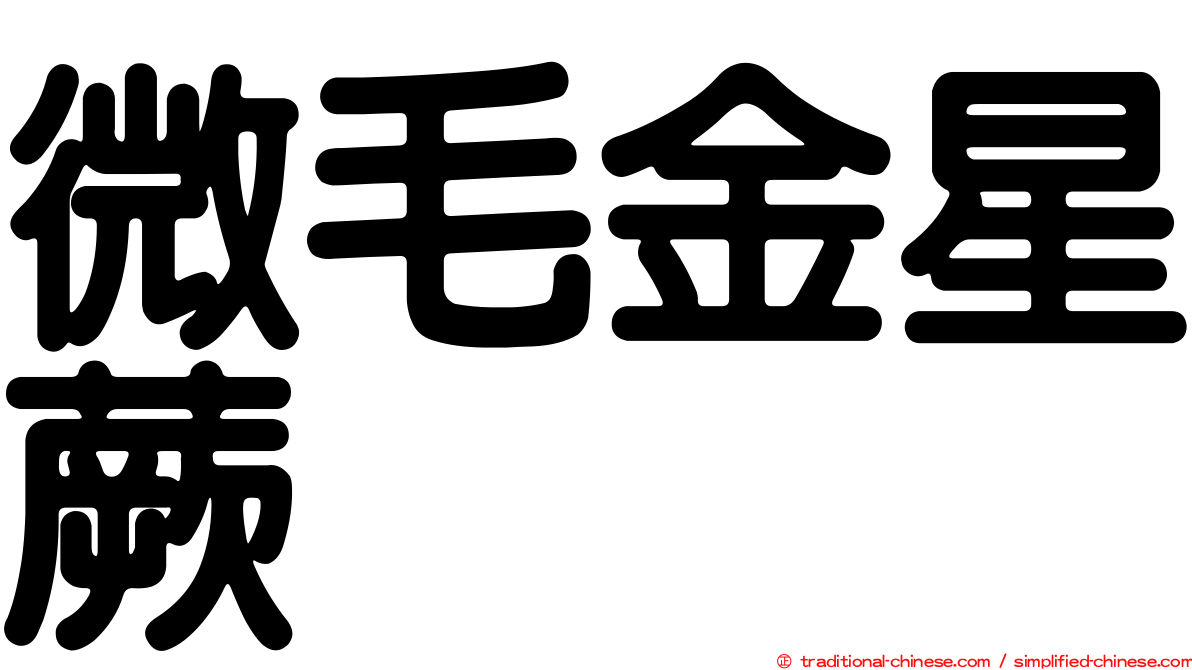 微毛金星蕨