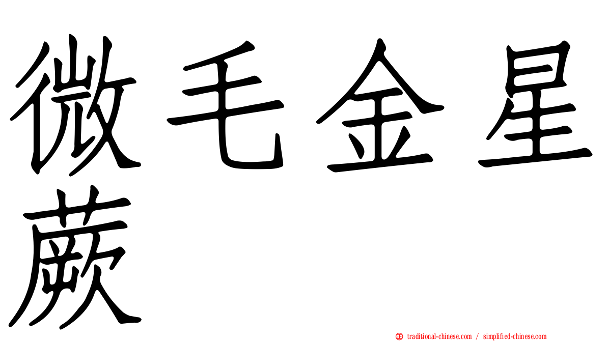 微毛金星蕨