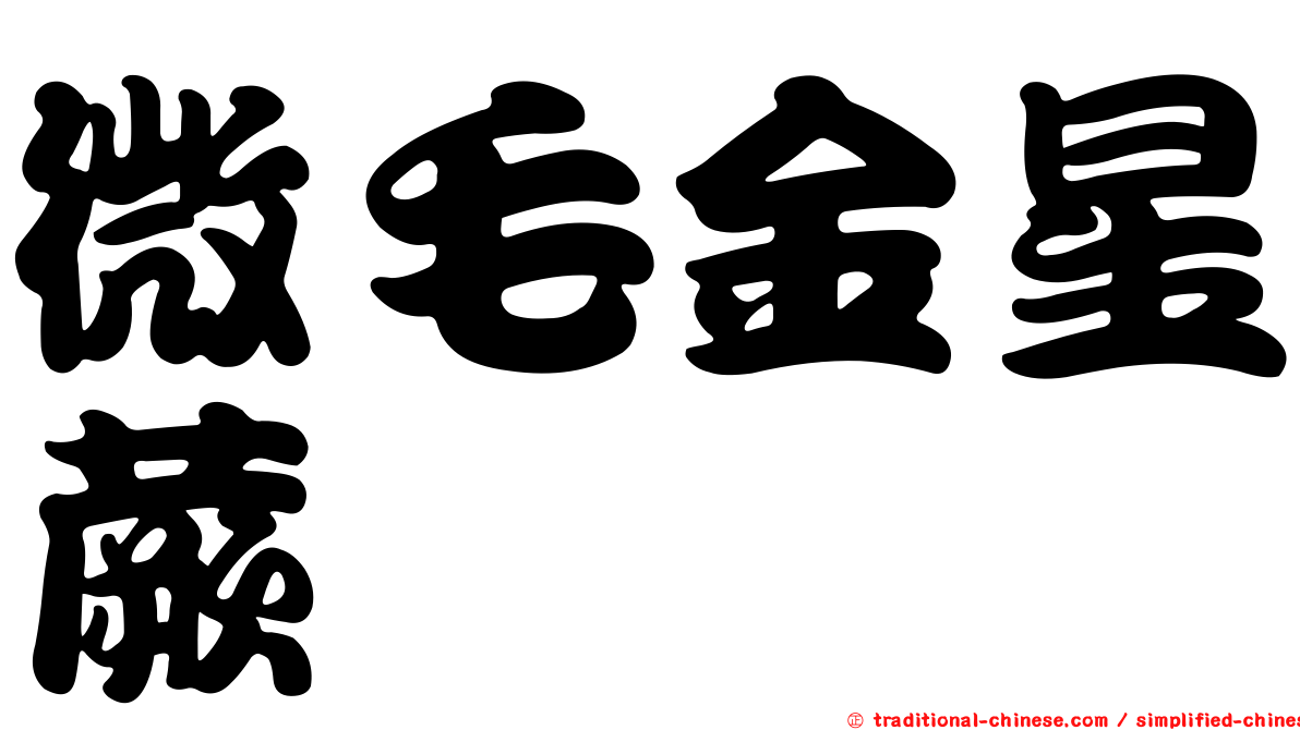 微毛金星蕨