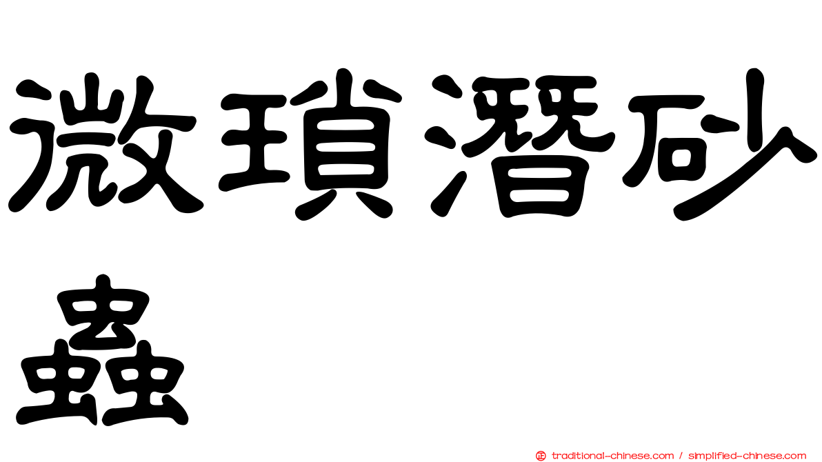 微瑣潛砂蟲