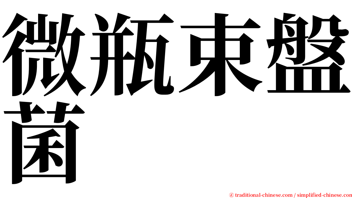 微瓶束盤菌 serif font