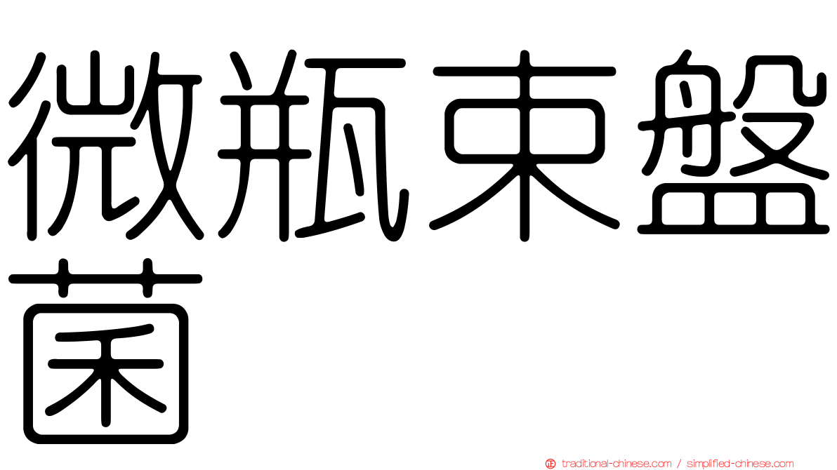 微瓶束盤菌