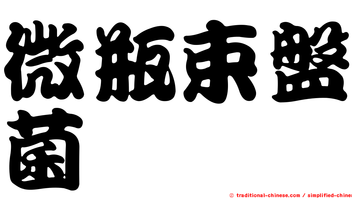 微瓶束盤菌