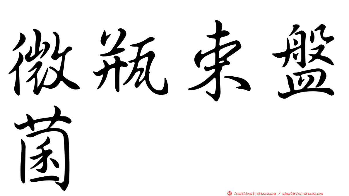 微瓶束盤菌
