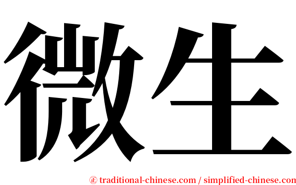 微生 serif font