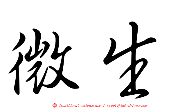 微生