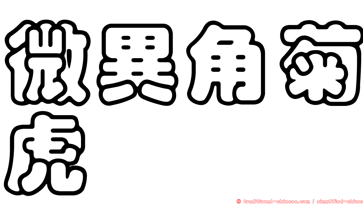 微異角菊虎