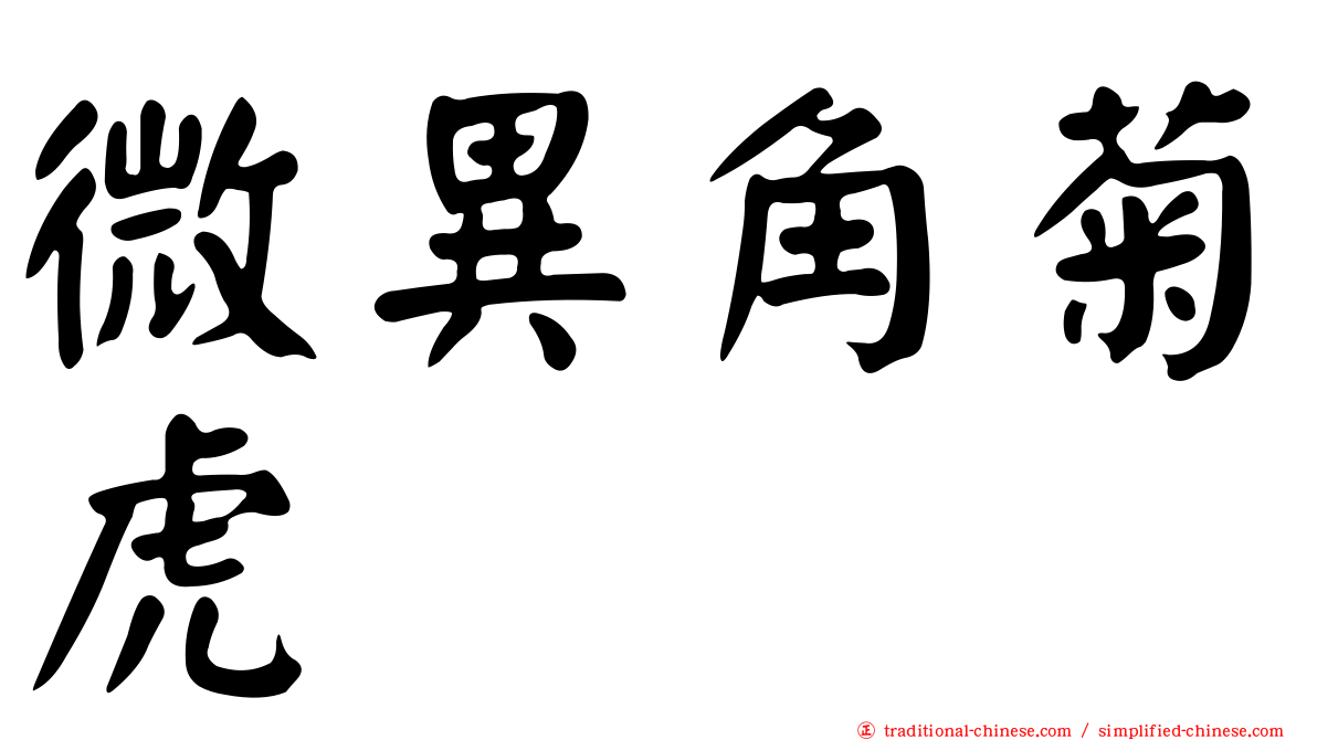 微異角菊虎