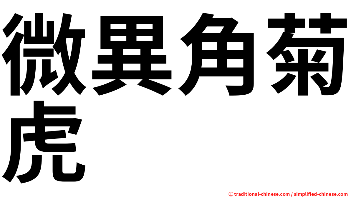 微異角菊虎