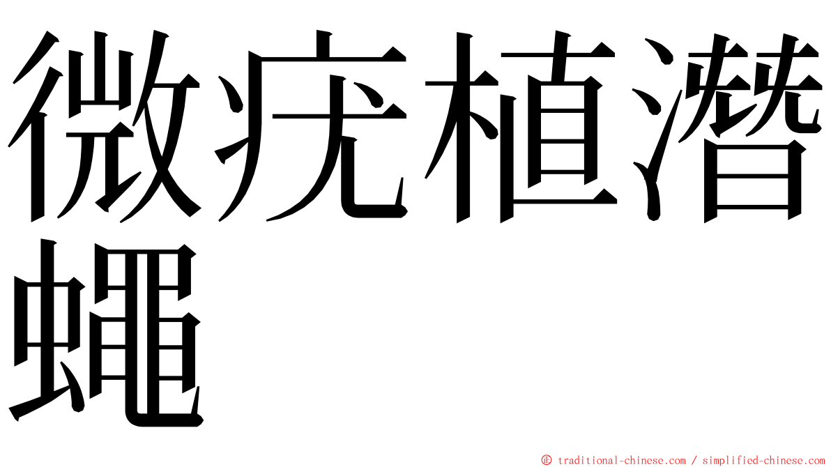 微疣植潛蠅 ming font