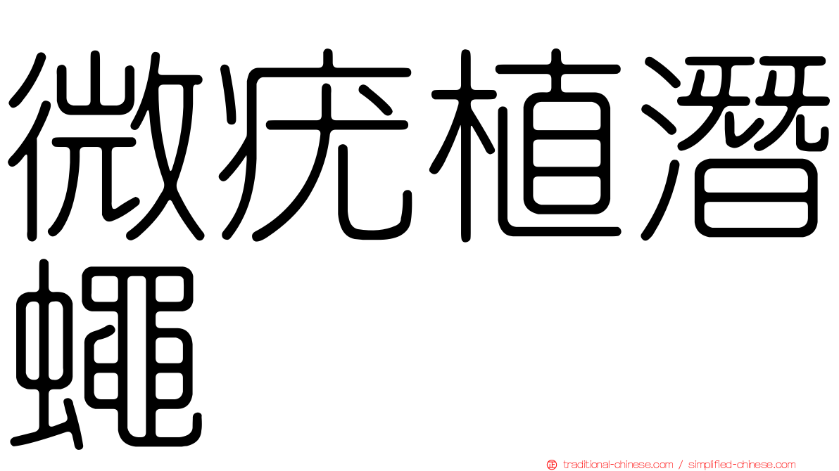 微疣植潛蠅