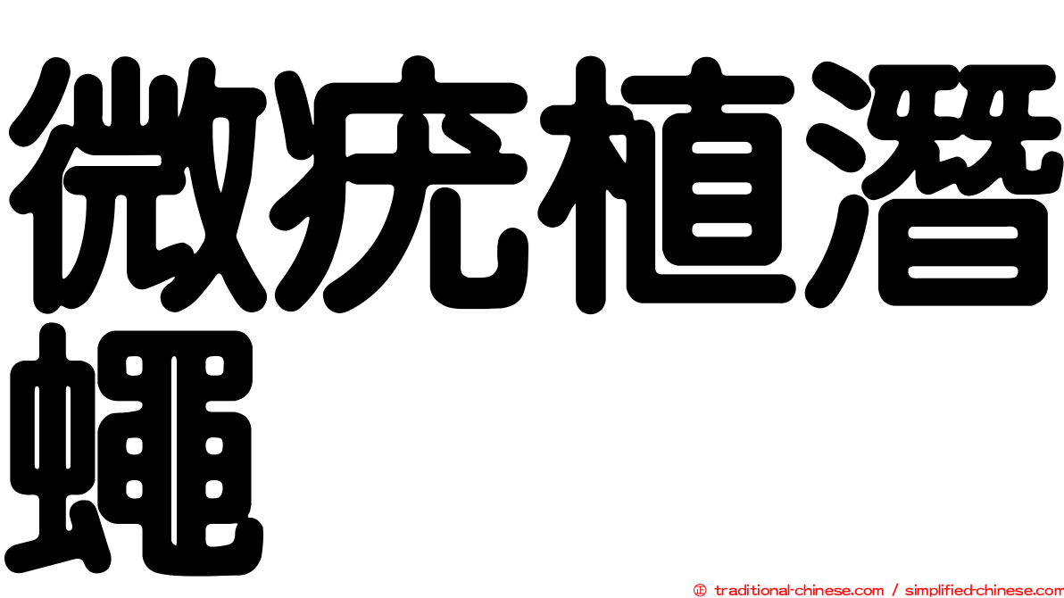 微疣植潛蠅