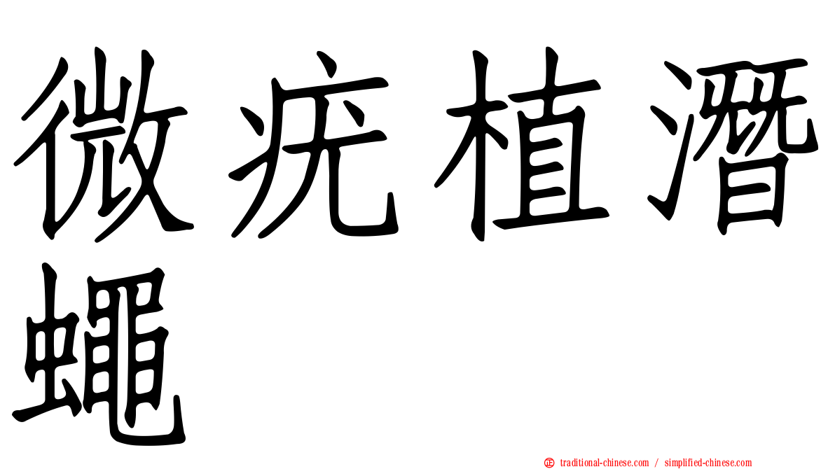 微疣植潛蠅