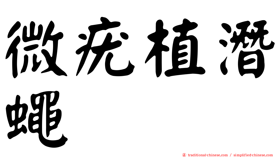 微疣植潛蠅