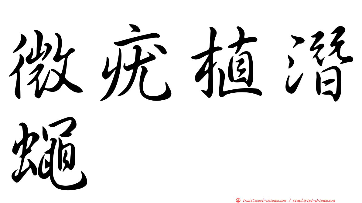微疣植潛蠅