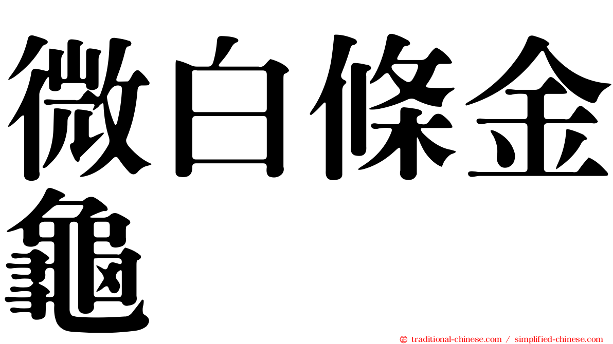 微白條金龜
