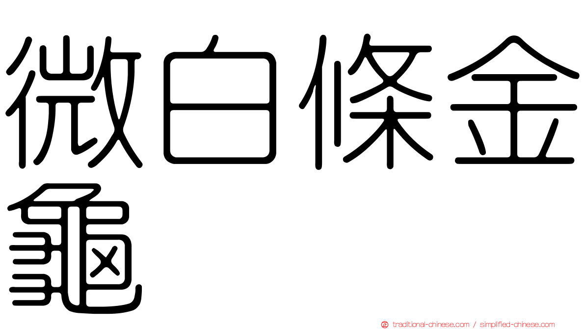 微白條金龜