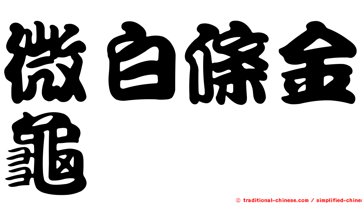 微白條金龜