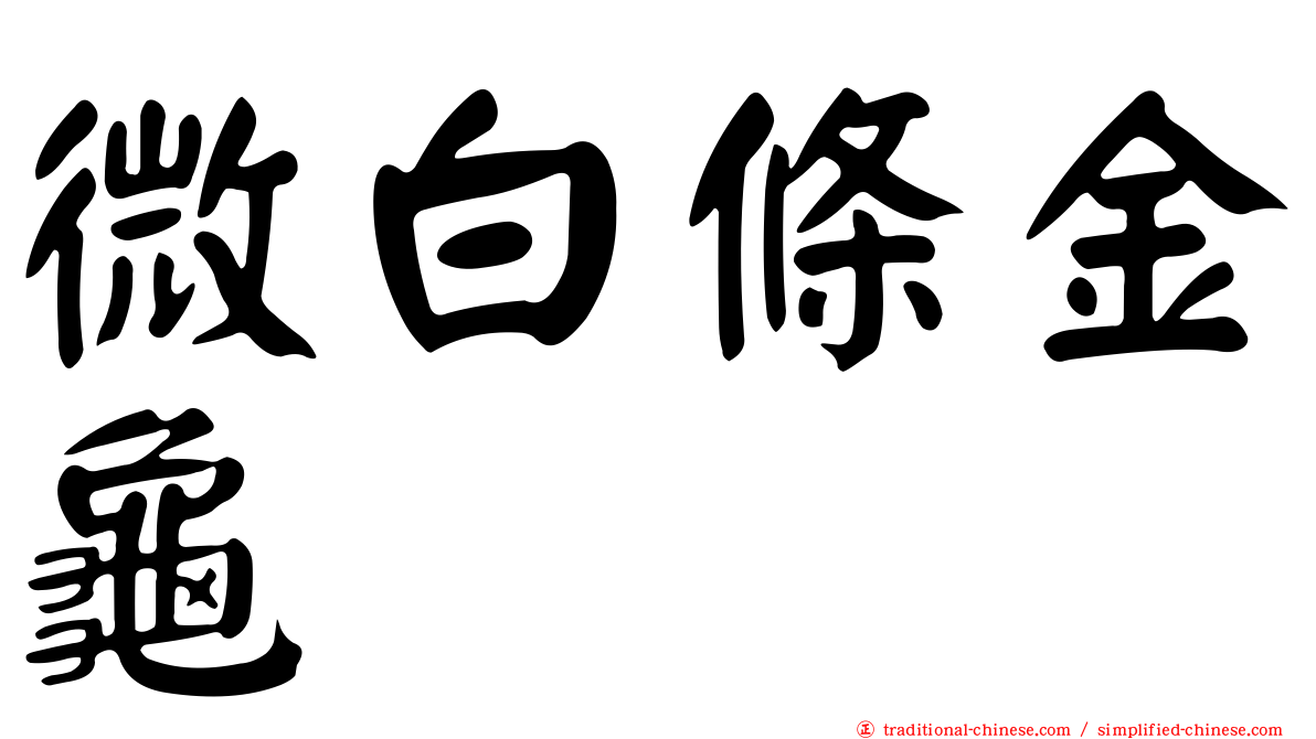 微白條金龜