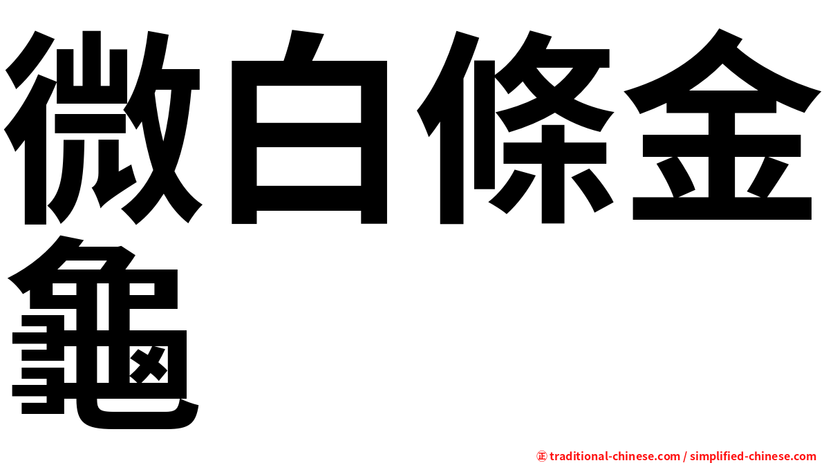 微白條金龜