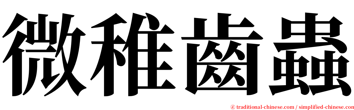 微稚齒蟲 serif font