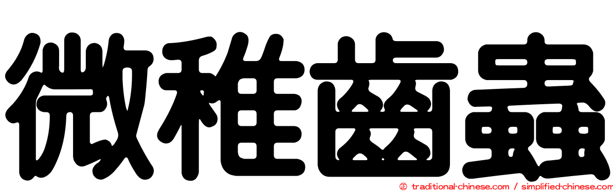 微稚齒蟲