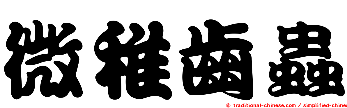 微稚齒蟲