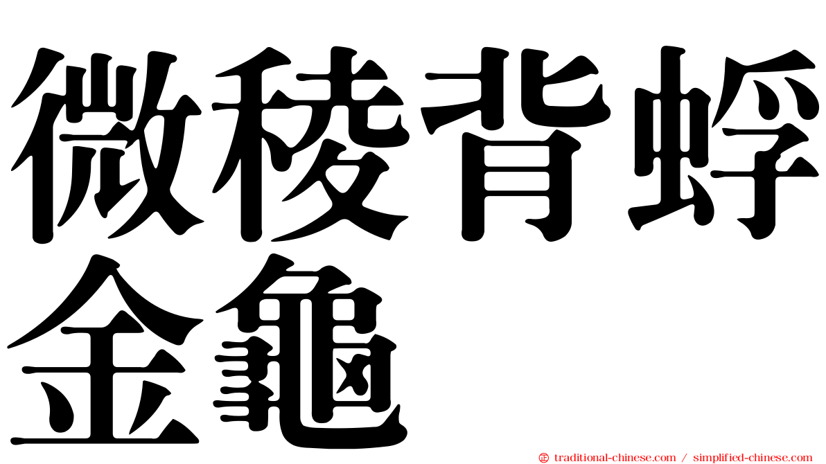 微稜背蜉金龜