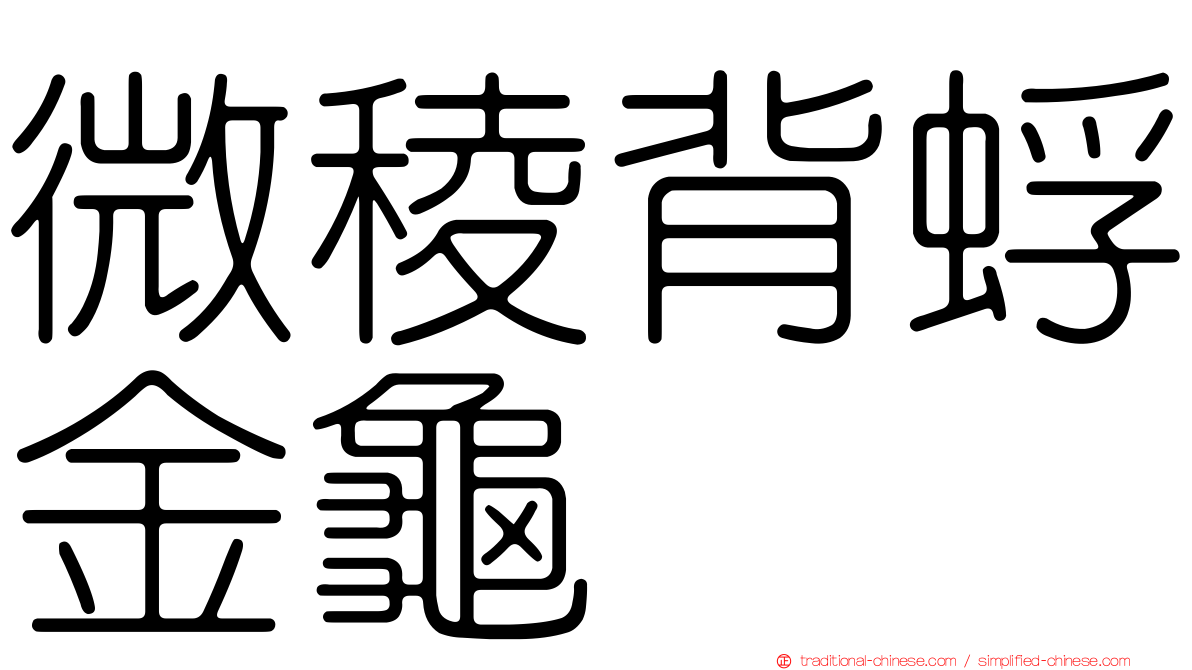 微稜背蜉金龜