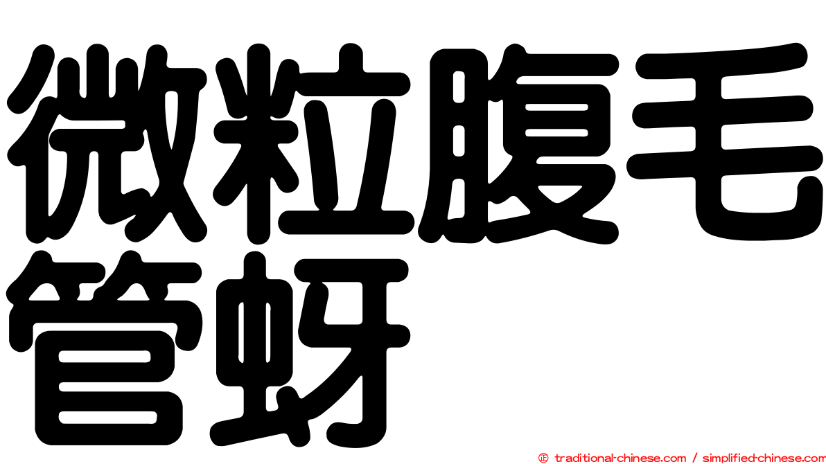 微粒腹毛管蚜