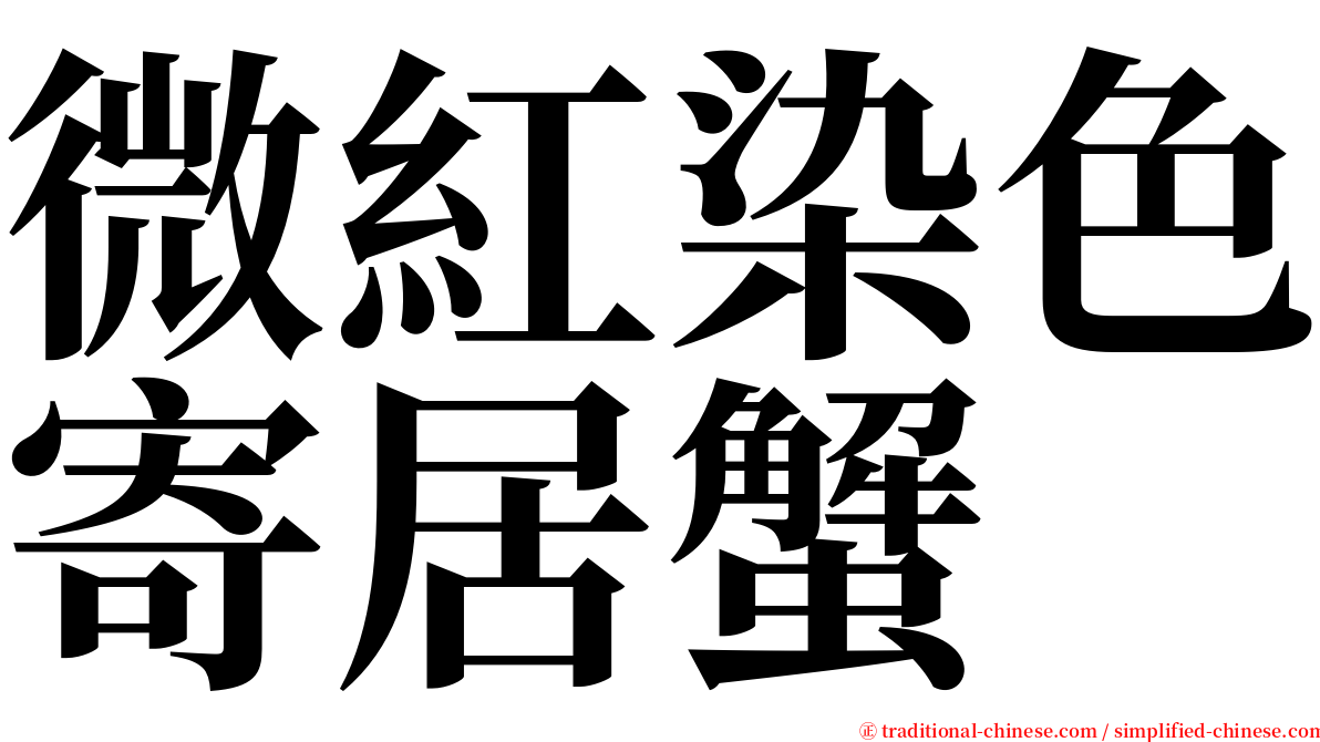 微紅染色寄居蟹 serif font