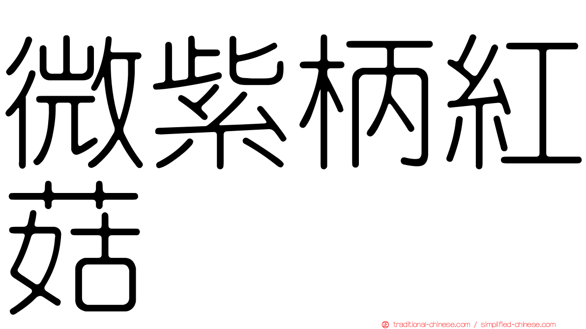 微紫柄紅菇