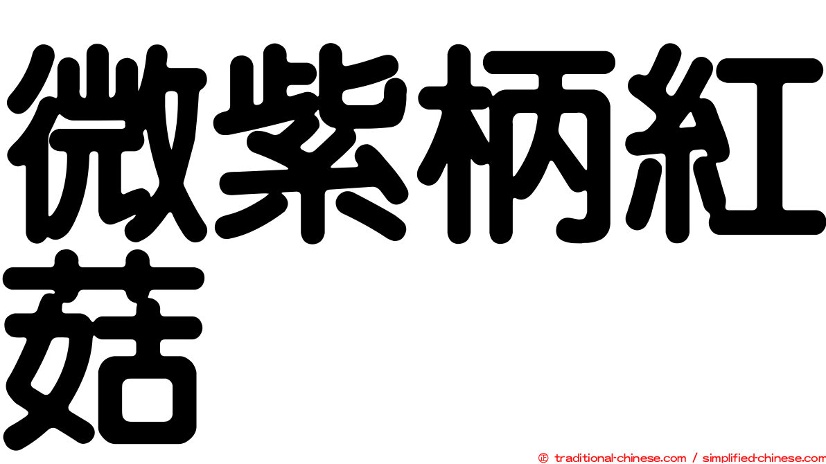 微紫柄紅菇
