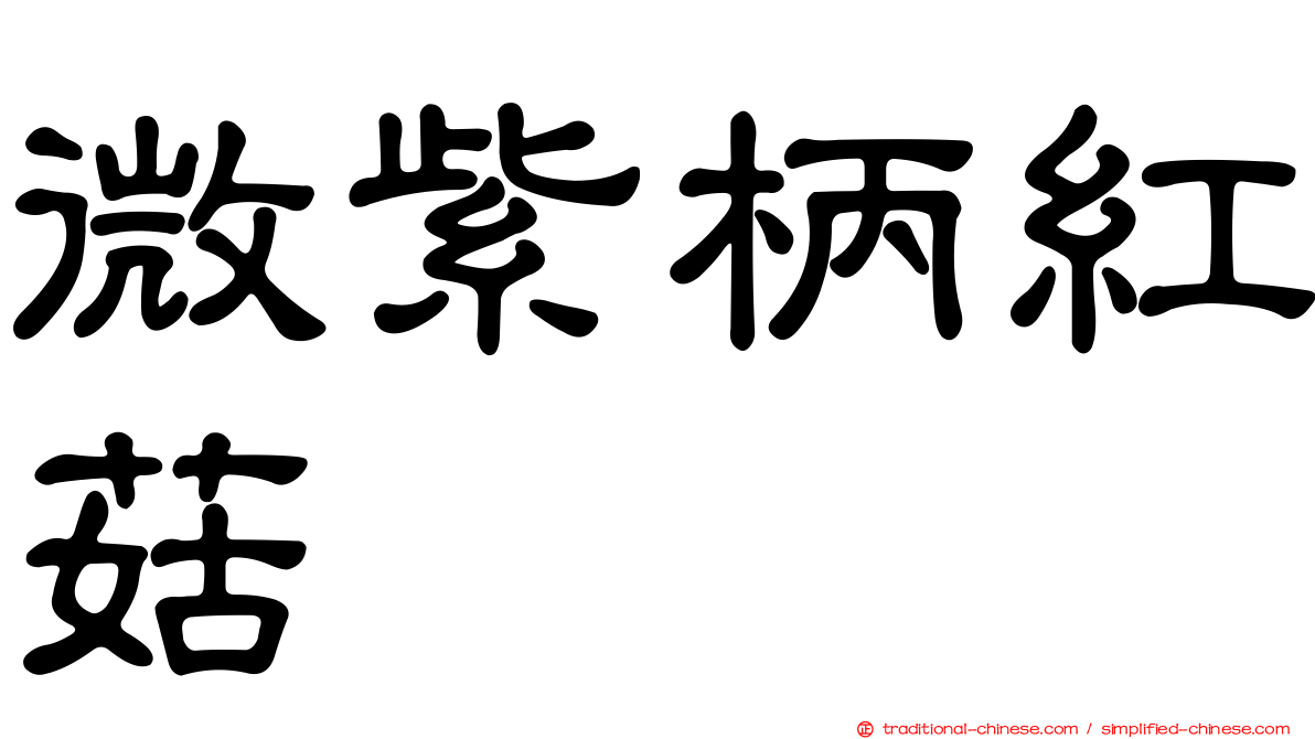 微紫柄紅菇