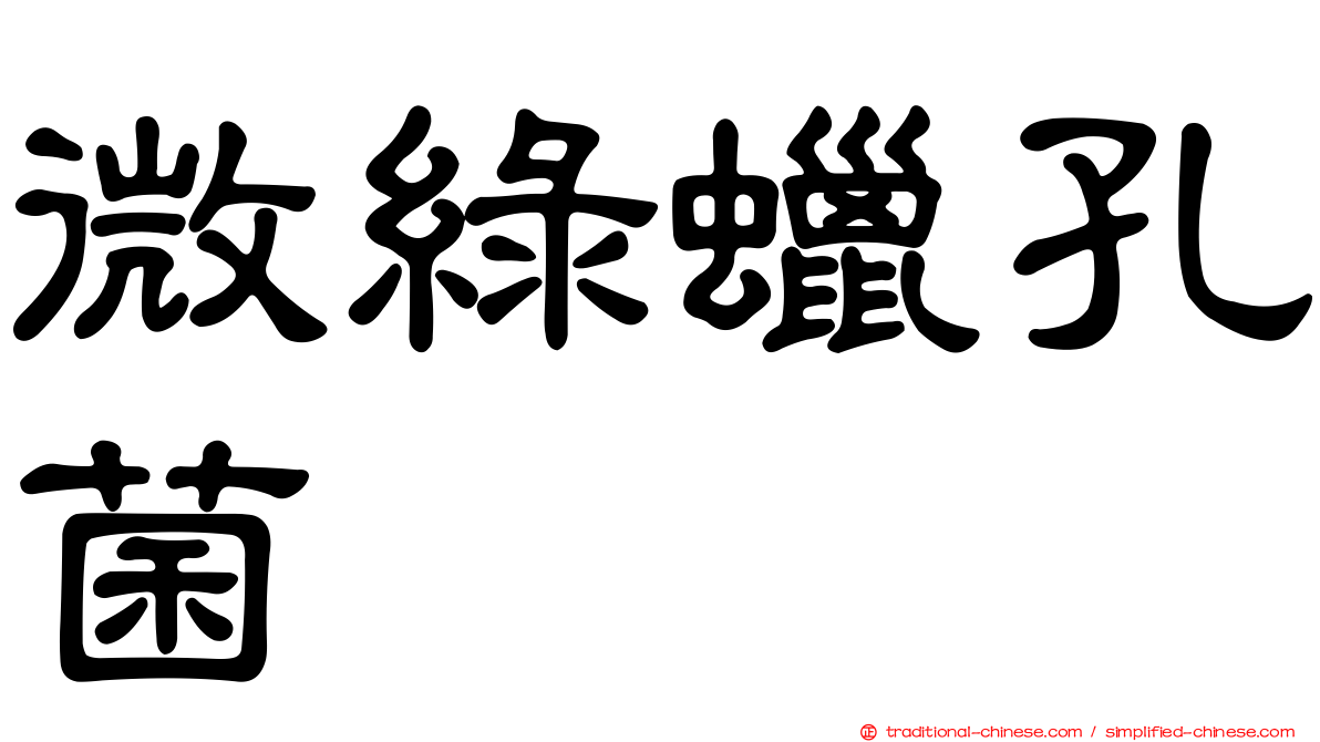 微綠蠟孔菌