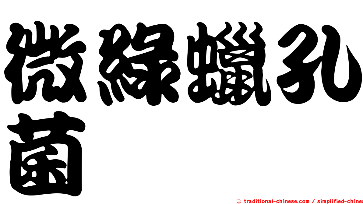 微綠蠟孔菌