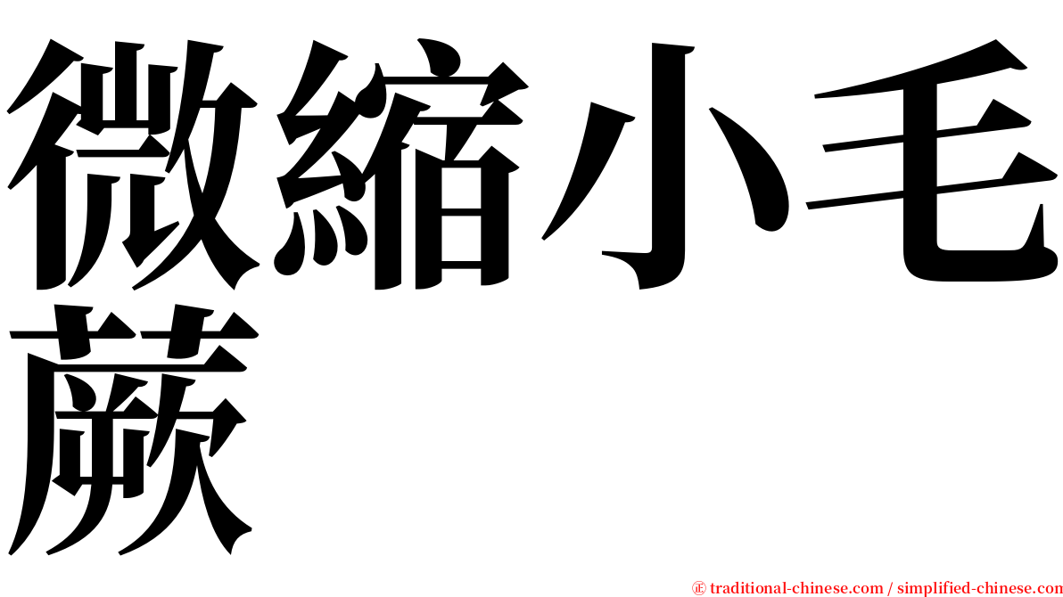 微縮小毛蕨 serif font