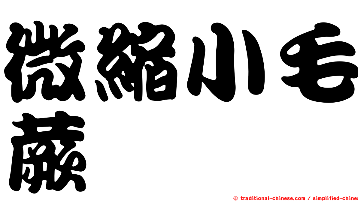 微縮小毛蕨