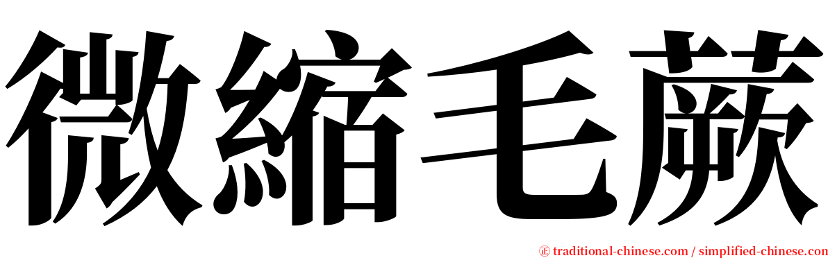 微縮毛蕨 serif font