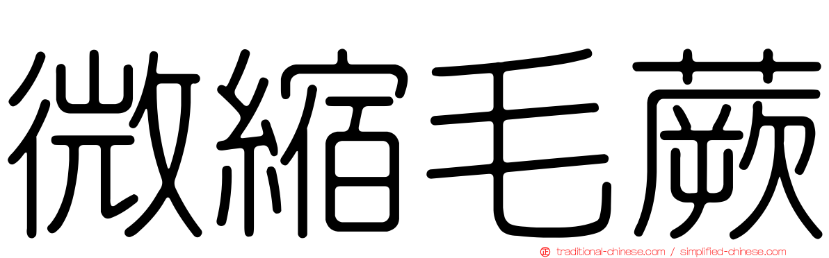 微縮毛蕨